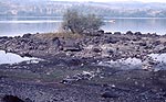 loch-awe-XVII-5-s.jpg - 6210 Bytes